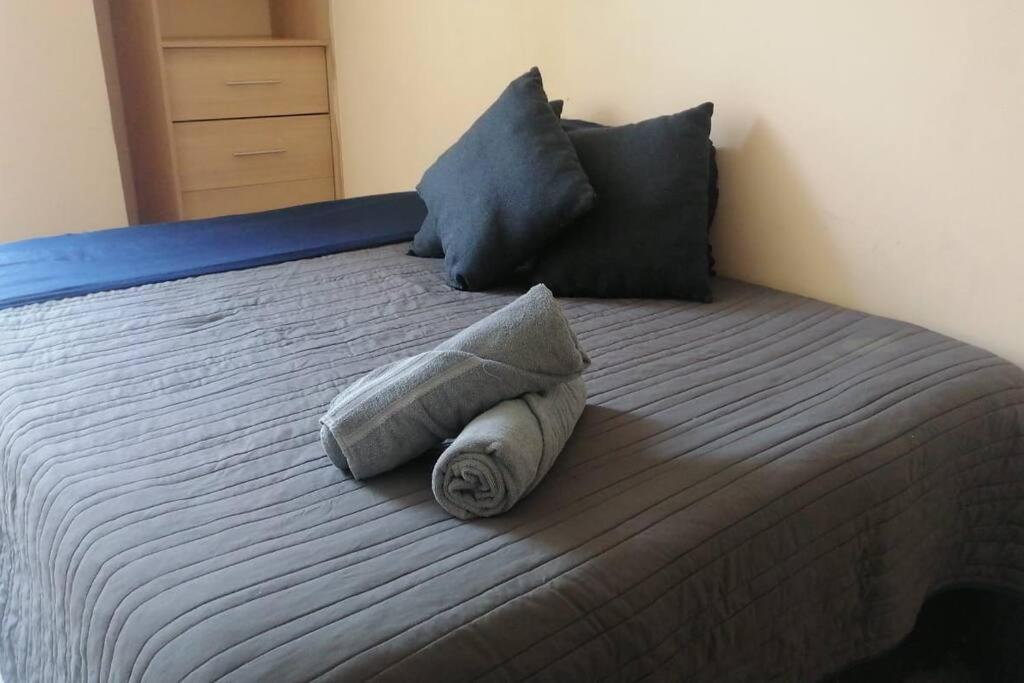 Downtown Depto Con Terraza Privada Apartment Mexico City Ngoại thất bức ảnh